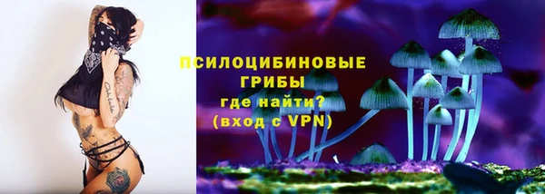 первитин Вяземский