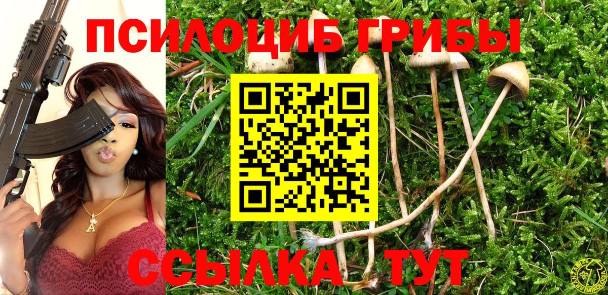 Галлюциногенные грибы MAGIC MUSHROOMS Елец