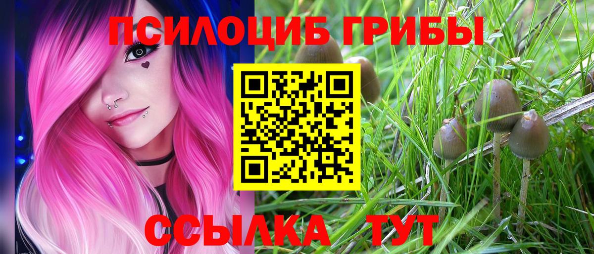 Елец  Псилоцибиновые грибы мухоморы  Вход с VPN 